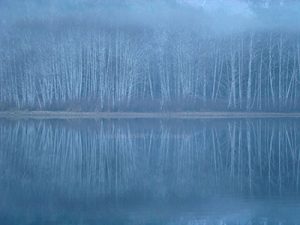 photo of fog being used used to highlight the deciduous trees and their reflection on the lake provide excellent framing in photography.