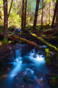 image of a small creek on the Antler Lake Trail on Vancouver Island using a slow shutter speed and tripod to create a silky smooth effect on the running water.