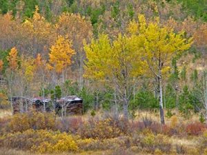 Image of a technique when shooting landscape photography by using a telephoto lens to capture a trappers cabin surrounded by an autumn landscape of vibrant colorful trees.