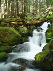 Photo of a waterfall with vibrant green moss on the rocks around it is a great example of stunning landscape photography.