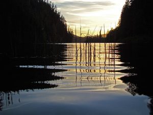 Photograph of Kathleen Lake on Vancouver Island using reeds in lake to add depth to the sunset relection on the water.