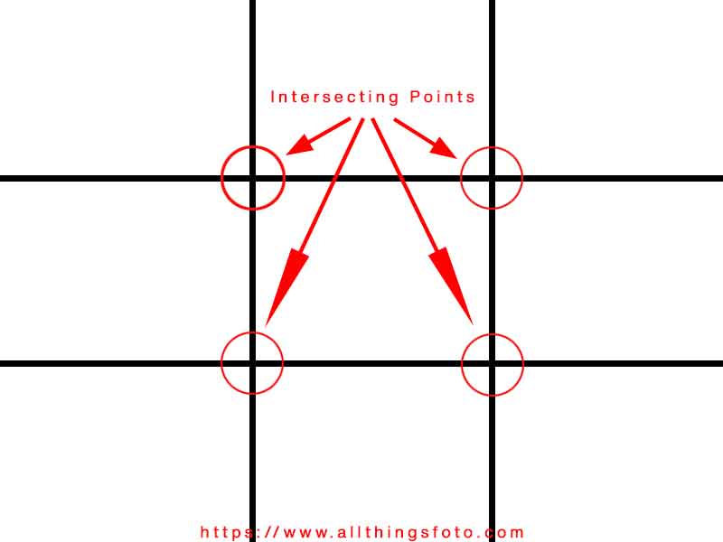 image of the rule of thirds showing the intersecting points